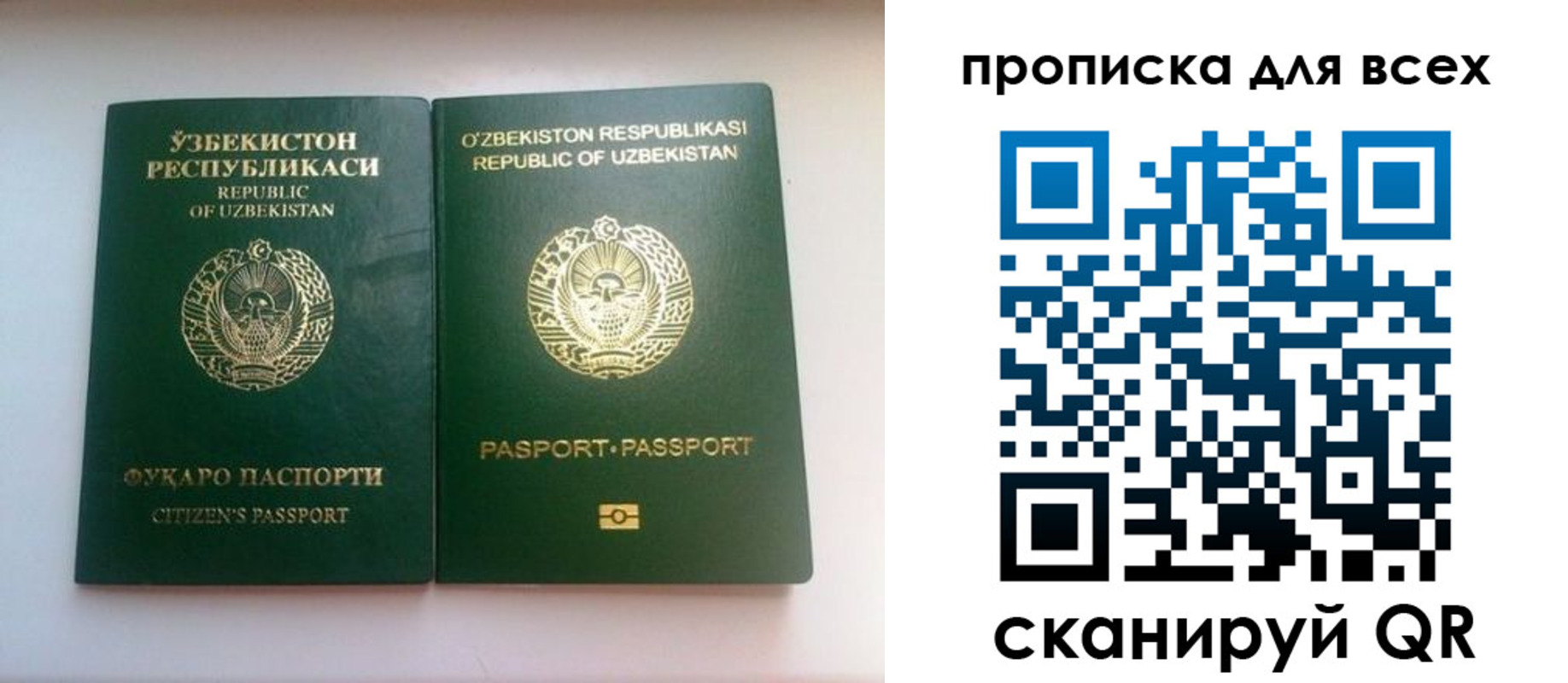 прописка для школы в Кремёнках